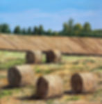 APRES MONTAURE - 30 X 30