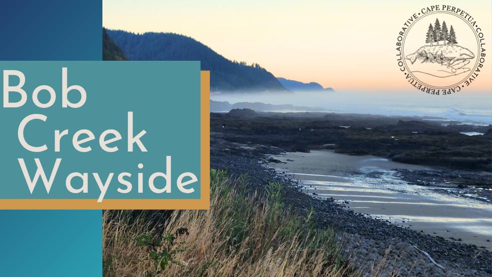 Tidepool Ambassador Tour- Bob Creek Wayside
