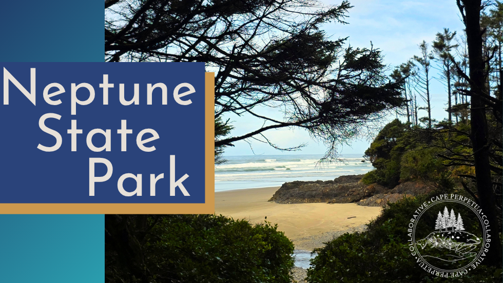 Tidepool Ambassador Tour- Neptune State Park