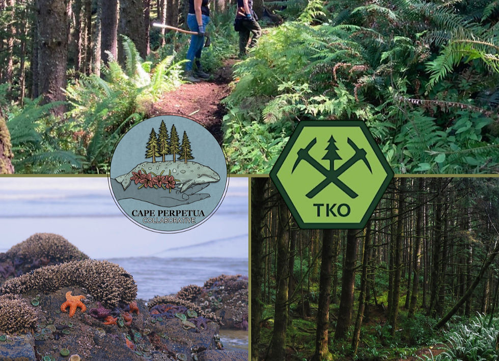 Tidepools to Trails Experience