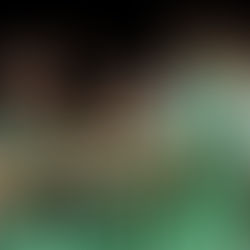 Que esperar del Real Betis esta temporada