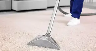 Carpet .webp