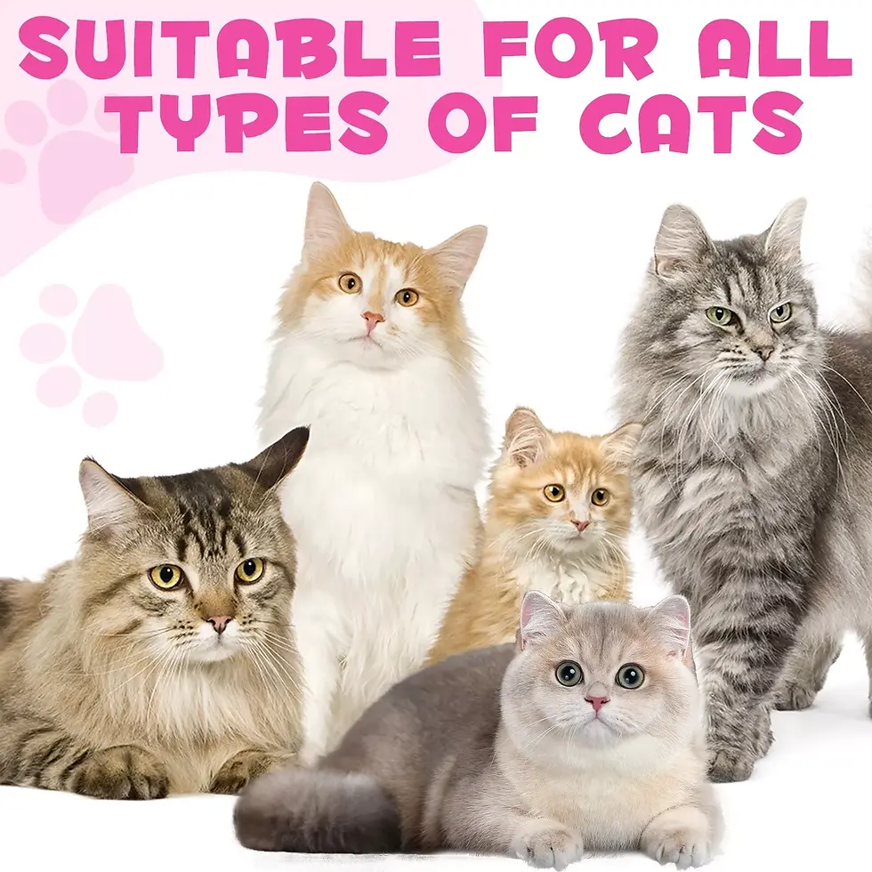 Thumbnail: Liquid Collagen for Cats - Hip and Joint Support with MSM, Ginger - Boost Immuni