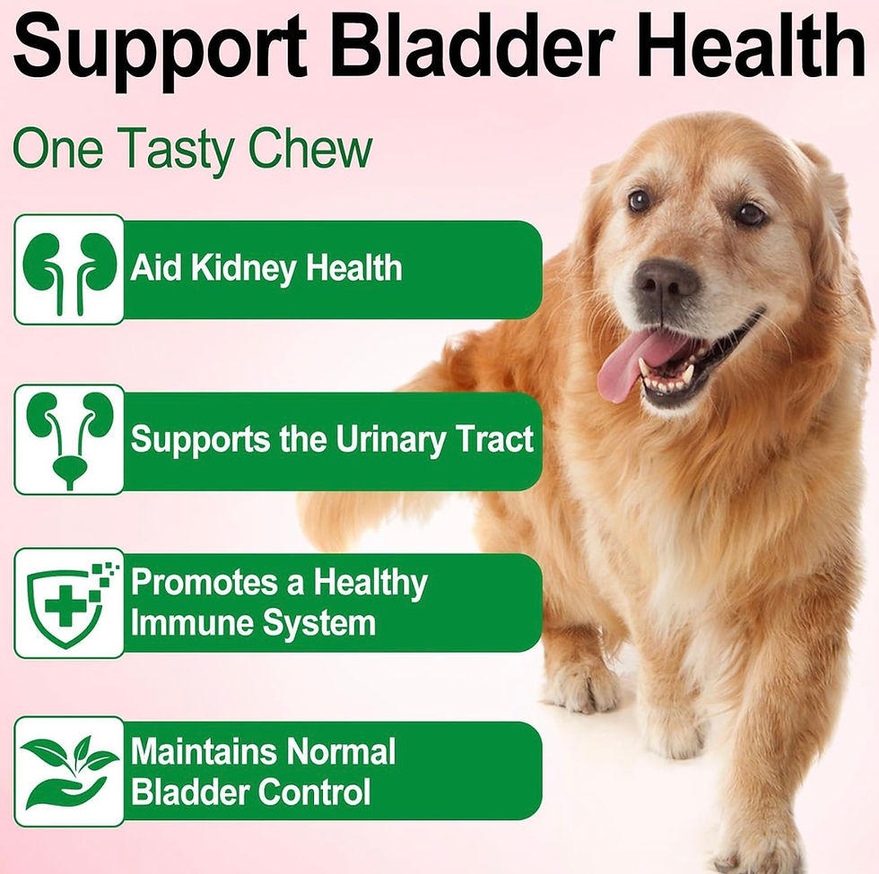 Thumbnail: Natural Dog Urinary Tract Infection Supports Bladder , Dog UTI Kidney Stone 60ml