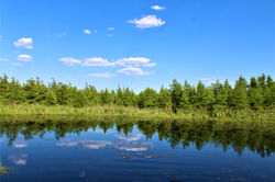 IMG_0849 (2)