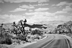 IMG_8736 (5)