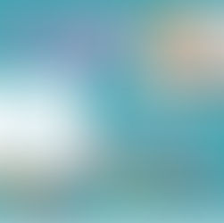 WoolFest 23 Auction #4!