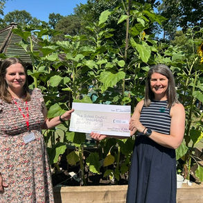 St Thomas' Infants : Re-wilding Project