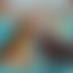 WoolFest More Silent Auction Previews!