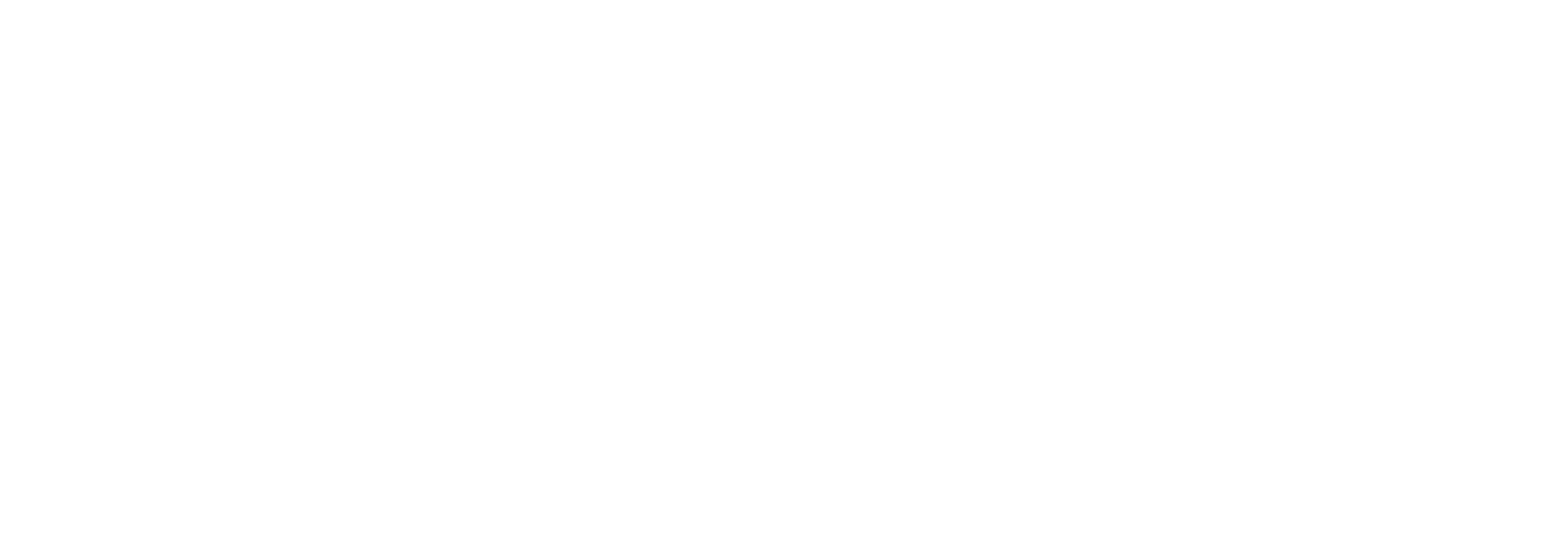 Sergeev Studio Logo.png