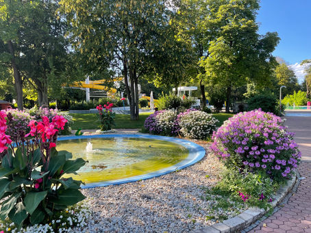 Frühling in Niederbayern - blühende Natur rund um Straubing