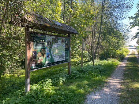 Rainer Wald bei Rain nahe Straubing - Natur und Erholung nahe Résidence Blanc Suites