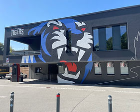 Straubing Tigers Eishockey in Straubing - Ausflugsziel nahe Résidence Blanc Suites in Rain