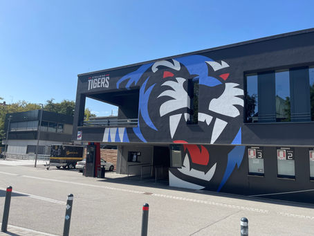 Eishockey in Straubing – Straubing Tigers als Freizeittipp nahe Résidence Blanc Suites