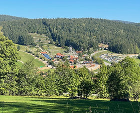 Sommerrodelbahn in Sankt Englmar im Bayerischen Wald - Ausflugsziel für Familien und Aktivurlauber