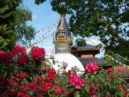 Nepal-Himalaya-Park in Wiesent - außergewöhnliches Ausflugsziel nahe Résidence Blanc Suites