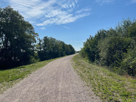 Radfahren & Natur - Donau, Gäuboden und Umgebung
