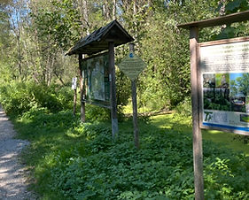 Rainer Wald bei Rain nahe Straubing - Natur, Spazierwege und Erholung im Grünen