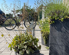 Fahrradurlaub bei Straubing - Radwege, Natur und entspannte Ausflüge in Niederbayern