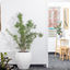 Writer: ReGen Holistic Therapies