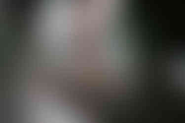 Mont Saint Michel Tour