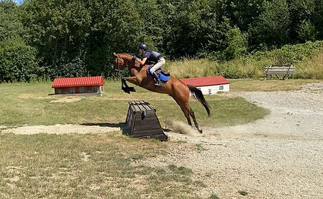 AUSTIN PHOTO-2024-01-29-22-17-41.jpg