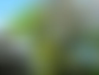 ひとまず