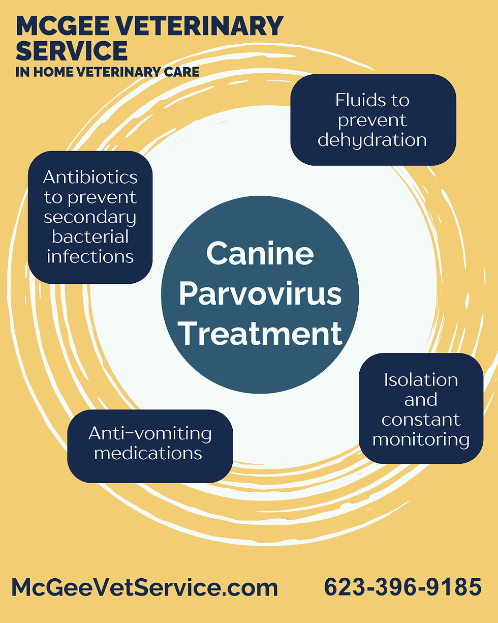 Canine parvo treatment: IV fluids, isolation, monitoring, anti-vomiting meds, antibiotics.