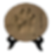 Clay paw print impression in wooden display stand