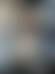 A small yorkie outside with one foot on a bench