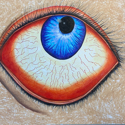Vision
