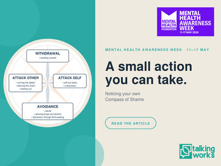 A Small Action You Can Take This Week - Noticing your own Compass of Shame