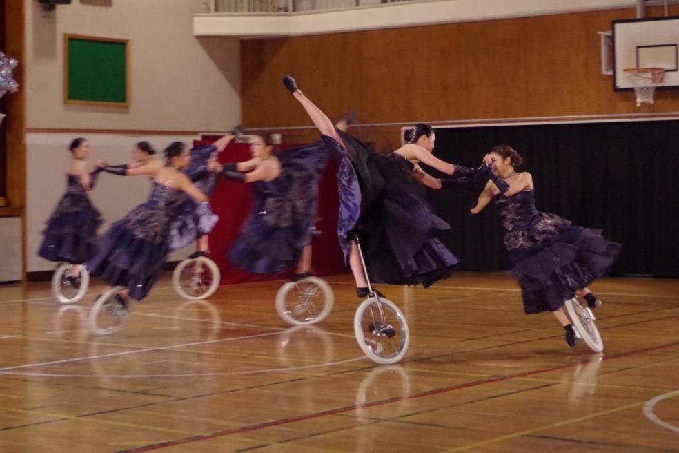 UniCircle Flow LinQuest, Inc.