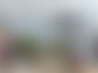 Delmiro Gouveia: PSB reúne bons nomes para disputa da Casa Legislativa 