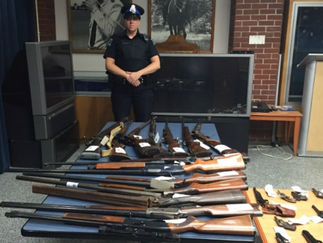 加拿大:枪支换公交车票