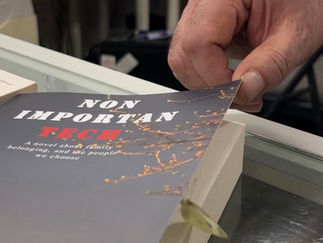 When a Butterfly Chose the Edge of a Book