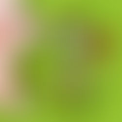 不要骂人,不然让你吃官司!