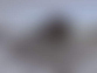 为什么加拿大能出那么多享誉全球的优秀狙击手?