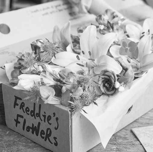 Freddie's Flowers Image_edited_edited.jpg