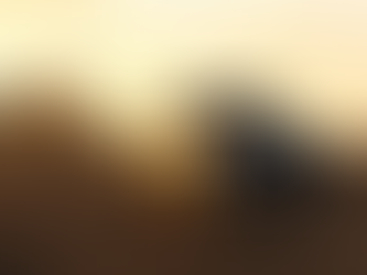 发生了车祸该如何处理