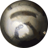 Doorbell-v3.gif