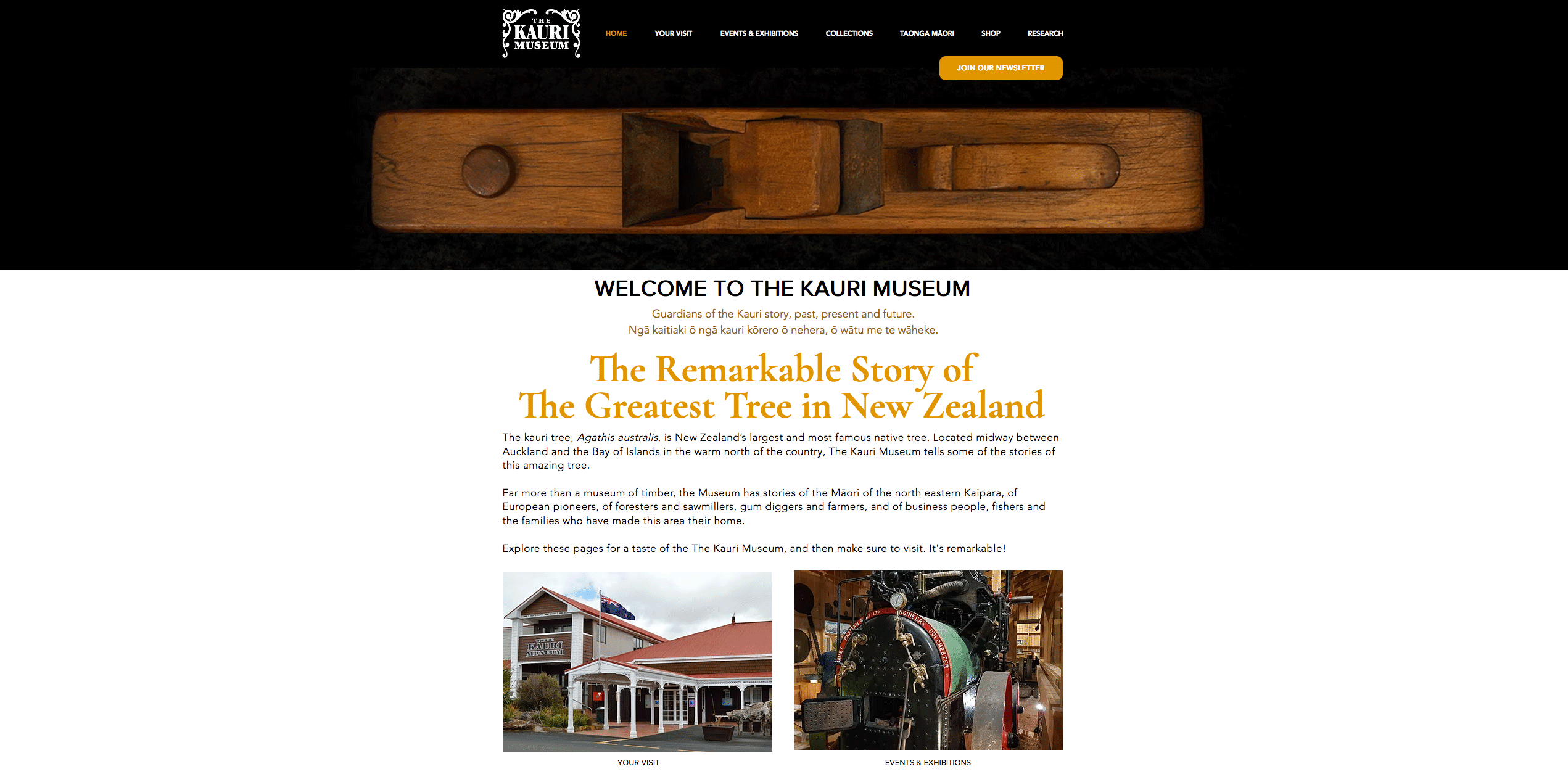 Kauri Museum