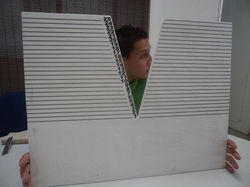 DSC01205.JPG