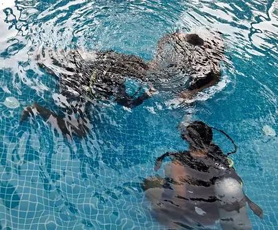 PADI Discover Scuba Diving.webp