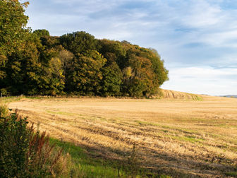 Teucheen Accessible Nature Space (TANS) - Community Asset Transfer Success!