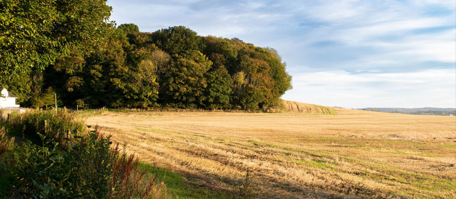 Teucheen Accessible Nature Space (TANS) - Community Asset Transfer Success!
