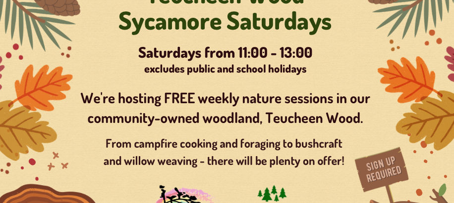 Teucheen Wood - Sycamore Saturdays