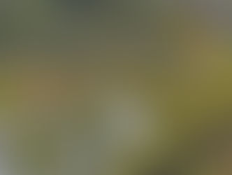 Notice of IDT Annual General Meeting '25