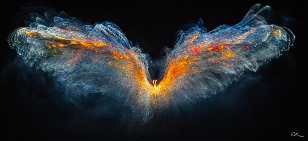 Wings of Fire and Light
