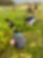20241109_103653-895a.jpg